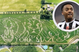 威洛克在迷宫迷路报警被救?埃迪-豪否认:谢天谢地,这不是真的 威洛克在迷宫迷路报警被救?埃迪-豪否认:谢天谢地,这不是真的