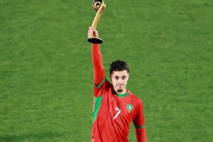 世青赛奖项:玛玛金球、扎比里银球、德尔加多铜球,巴比金手套 世青赛奖项:玛玛金球、扎比里银球、德尔加多铜球,巴比金手套