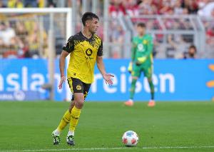 图片报：安东和安塞尔米诺均可能长期缺阵，多特后防拉响警报