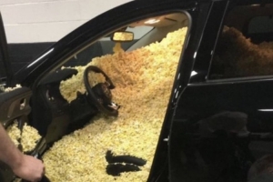 杰伦·布朗：小托马斯是个传奇 我还记得他给我的车里塞满爆米花