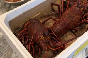 新鲜食材！詹姆斯晒跨年夜晚餐 一箱鲜活龙虾待吃